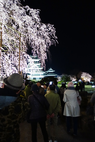 松本城　夜桜_c0280756_00111326.jpg