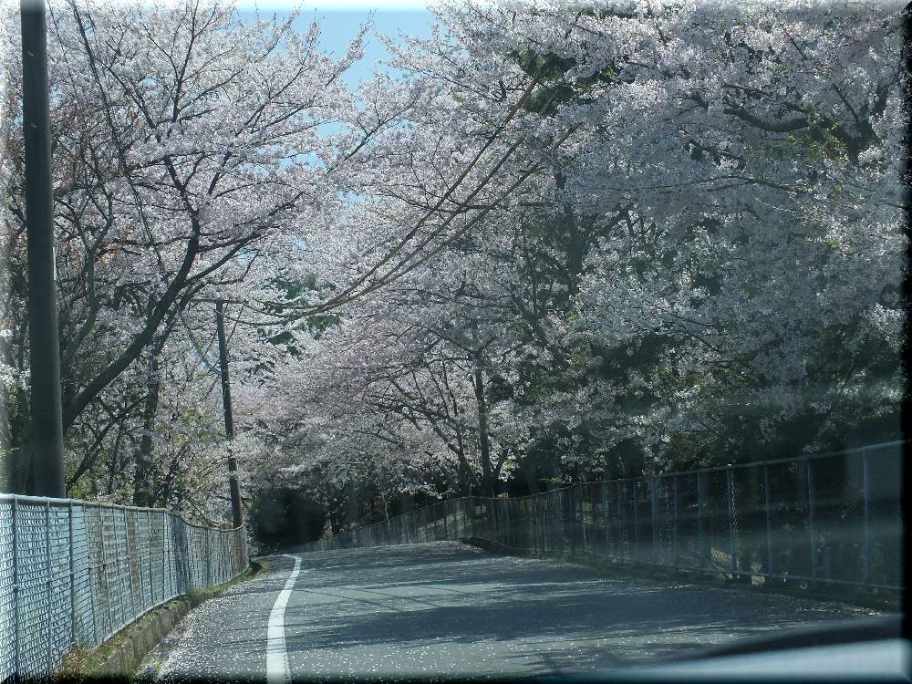 f0345156_15023399.jpg