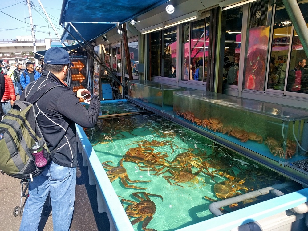 d0039059_06160096.jpg