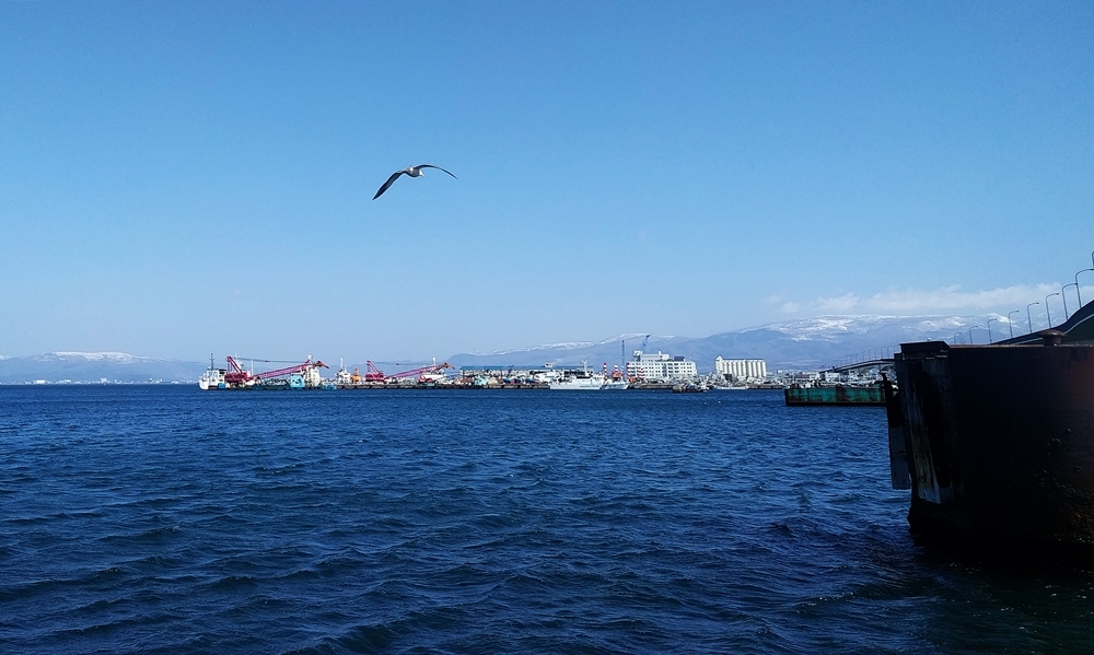 d0039059_06173860.jpg