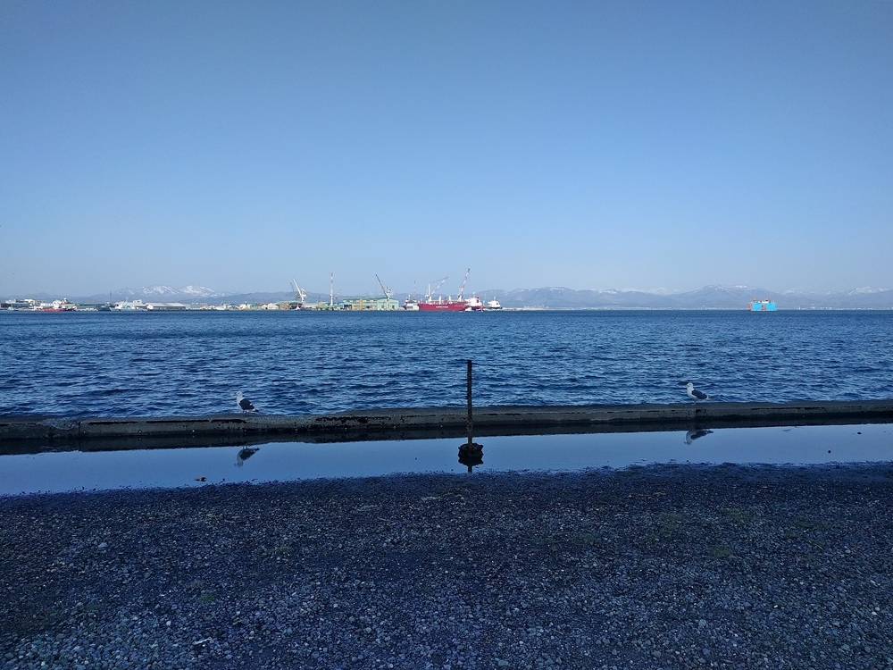 d0039059_06181070.jpg