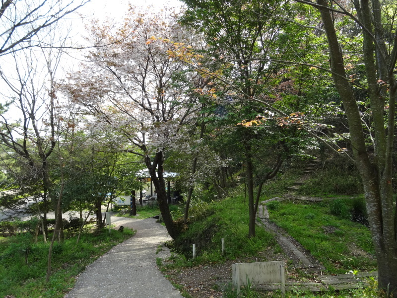 c0108460_20310297.jpg
