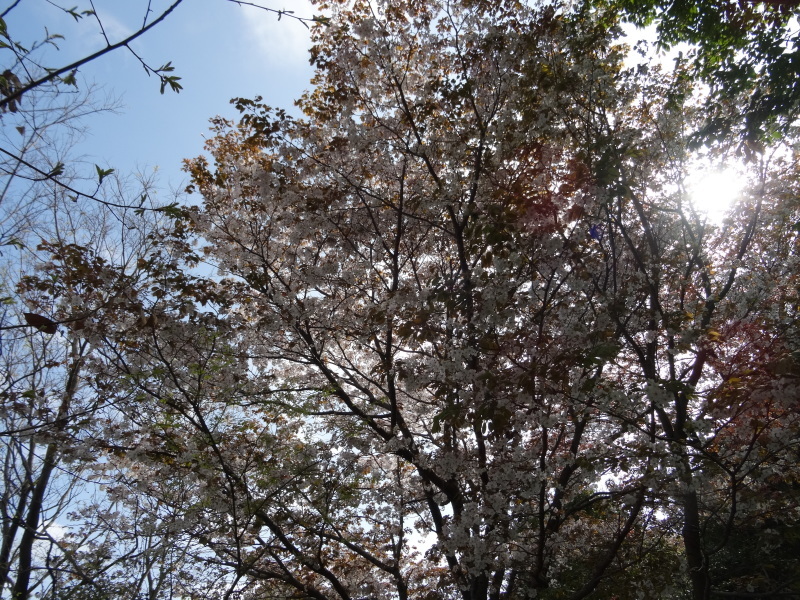 c0108460_20412040.jpg