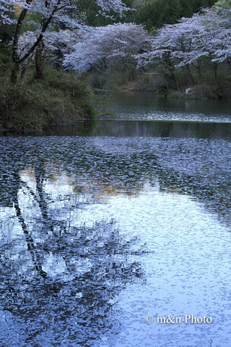 e0321360_22255053.jpg