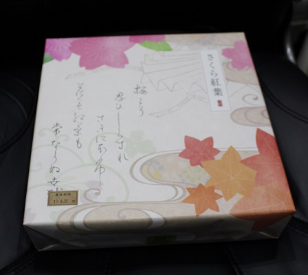 頭蓋形態修正術 (アパタイト形成術)_d0092965_631613.jpg