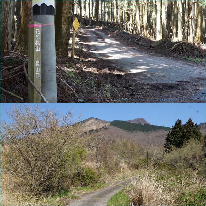 花牟礼山登山と男池花散策 そうだ 山に登ろう