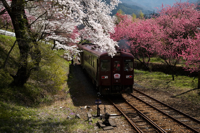 わたらせ渓谷鉄道・・・その１_e0071967_19164954.jpg