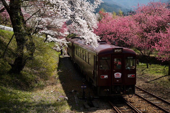 わたらせ渓谷鉄道・・・その１_e0071967_19165379.jpg