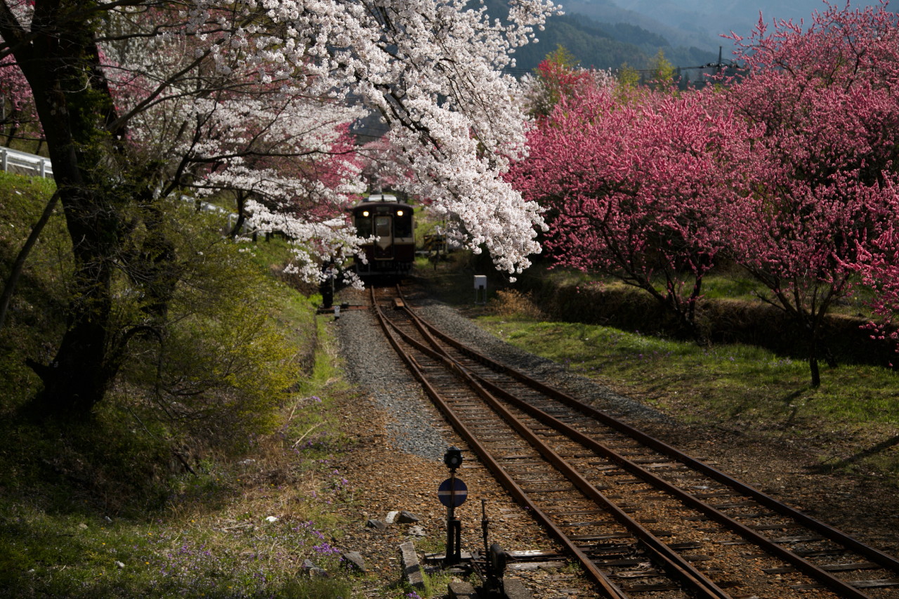 わたらせ渓谷鉄道・・・その１_e0071967_1917623.jpg