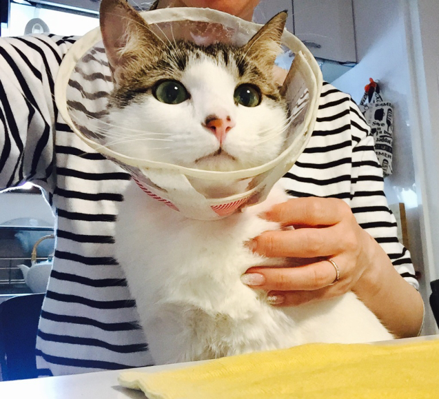 ただいま、クランちゃん_d0343573_11283961.jpg