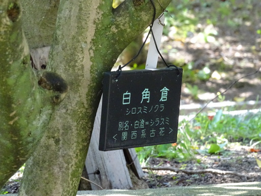 想像以上の幸せ　服部緑地植物園_b0159780_8354289.jpg