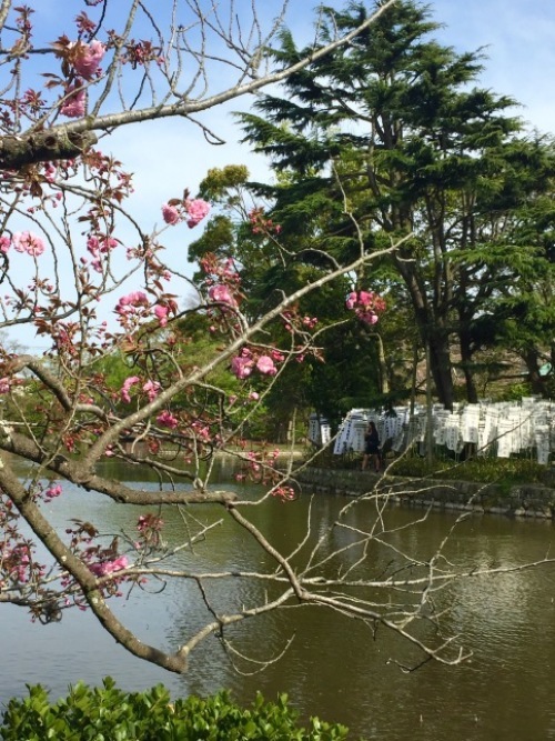 鎌倉心景「花の道」_a0135581_17455304.jpg