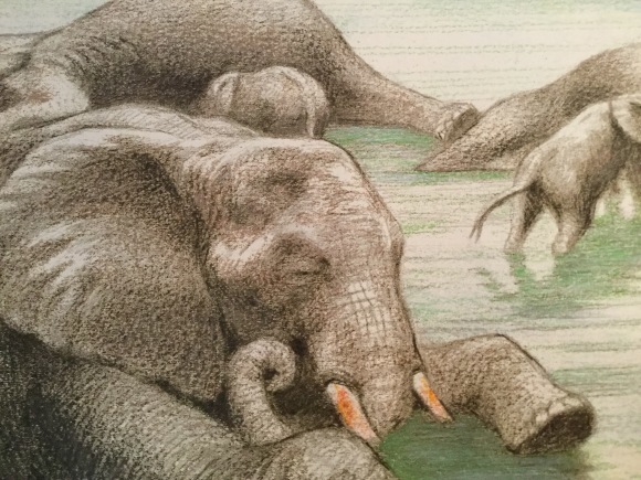 吉田遠志 の 動物絵本 14 象の家族「ふるさと」 : 象を読む人 象を書く人
