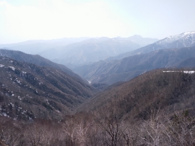 b0040606_2247492.jpg