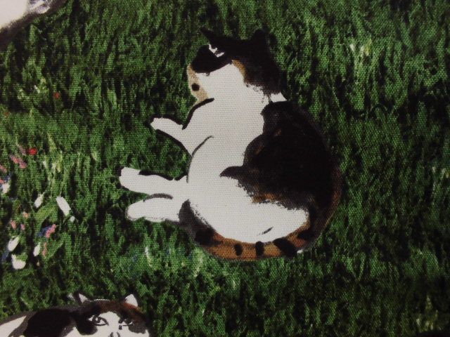 猫柄の布_d0156706_16302180.jpg