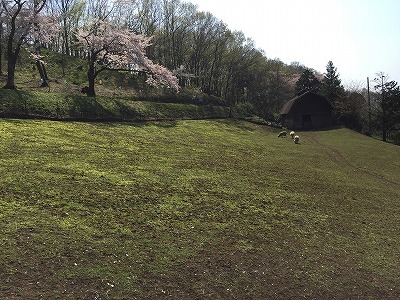 d0180506_21583118.jpg