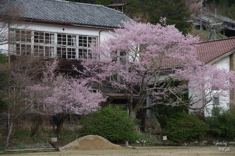 西吉野　下市町コミュニティー体育館_d0342307_23552457.jpg