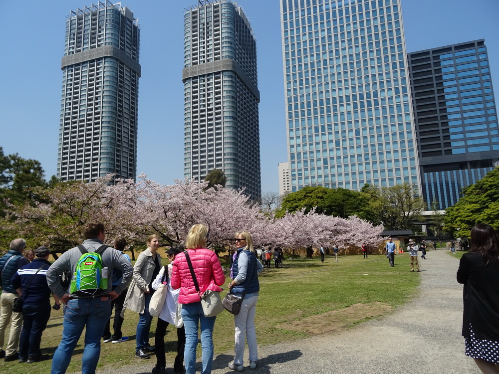 b0052108_17521056.jpg