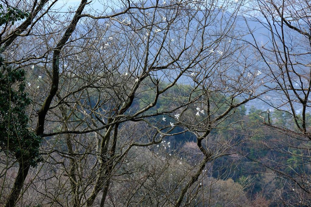 狩留家駅－高鉢山－呉娑々宇山－海田市駅ロング歩き(2017/04/15)_c0346710_09463947.jpg