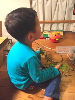 e0201210_11564376.jpg