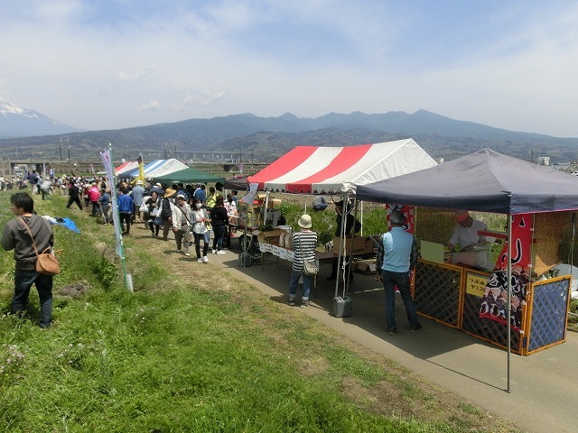 ピンクのれんげ畑に富士山と新幹線が映える　第3回富士山れんげまつり_f0141310_07580580.jpg