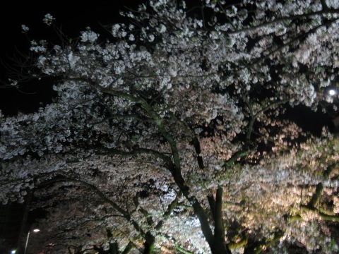 f0149422_16124827.jpg