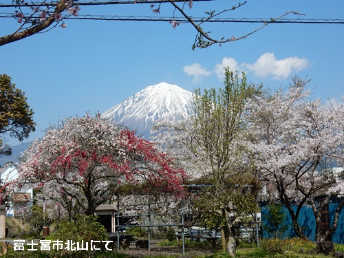 富士宮で見た富士山_e0033229_2010294.jpg