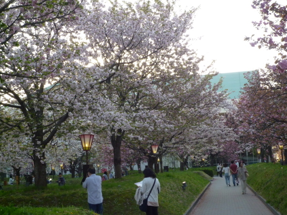 d0334331_18160129.jpg
