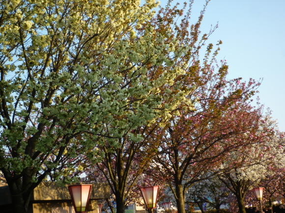 d0334331_18161510.jpg