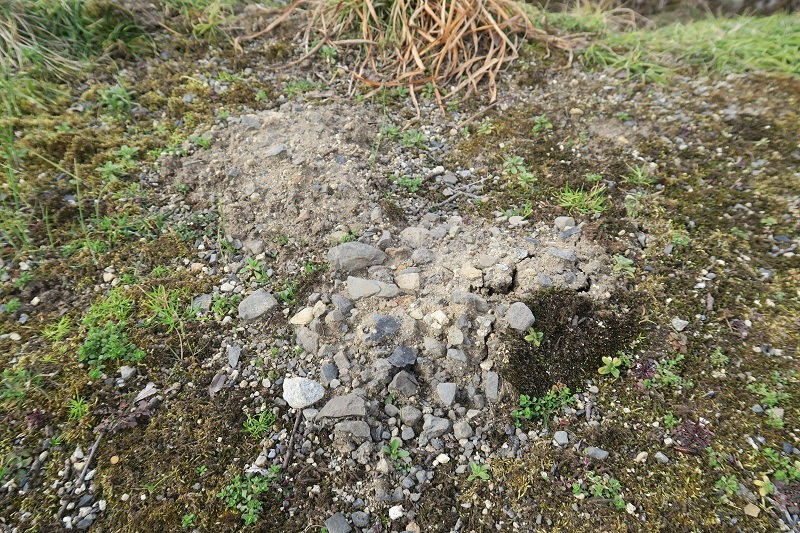 「昴中古車道」を極める_f0076731_11020257.jpg