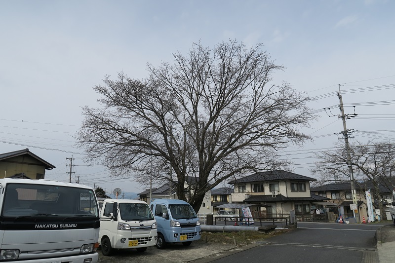 「昴中古車道」を極める_f0076731_11054216.jpg