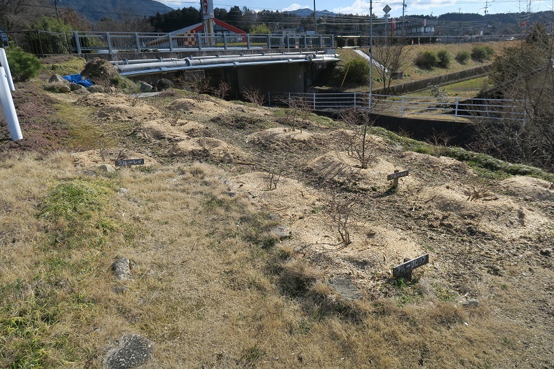 「昴中古車道」を極める_f0076731_20302318.jpg