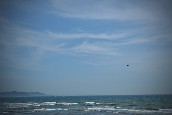 b0175635_13555740.jpg