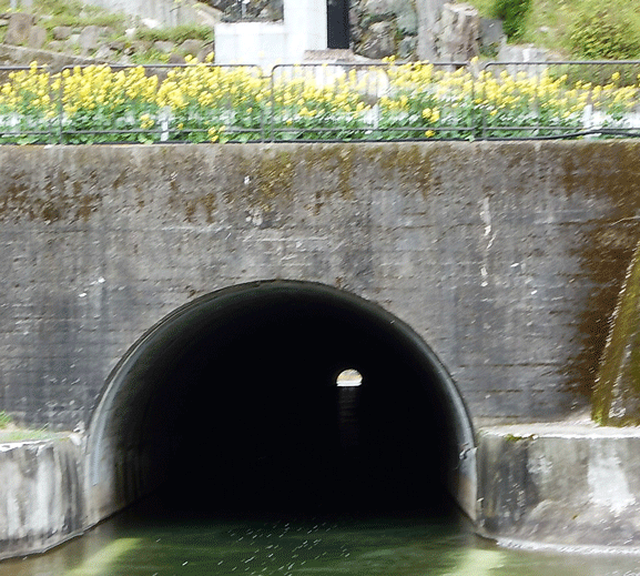 e0371039_2042242.gif