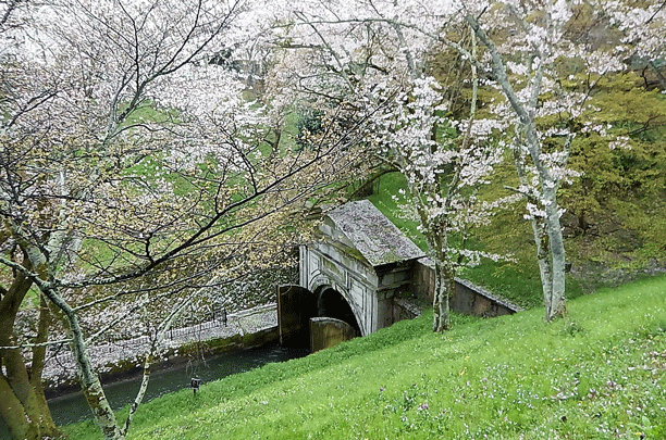 e0371039_205331.gif