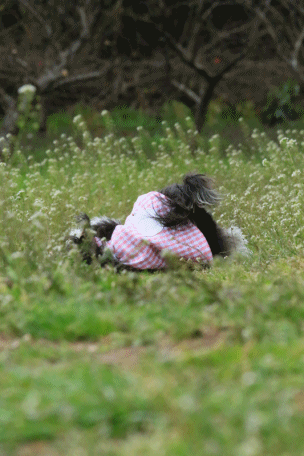 c0145250_15275427.gif