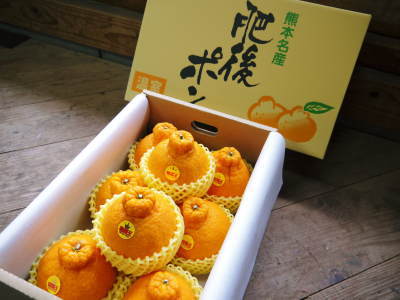 蔵出し完熟デコポン(肥後ポン)大好評発売中!すでに来年の収穫へ向け命を吹き込む花芽剪定です(2017前編)_a0254656_16113966.jpg