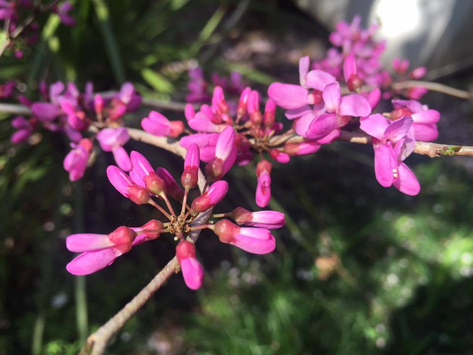 c0115560_18372398.jpg
