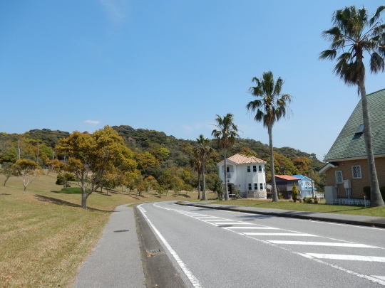 ’17,4,17(月)興津海岸までの2時間散歩!_f0060461_08342922.jpg