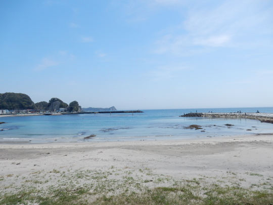 ’17,4,17(月)興津海岸までの2時間散歩!_f0060461_08435632.jpg