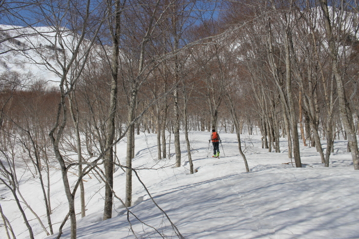 4月16日　　乙妻山_f0223068_12482506.jpg