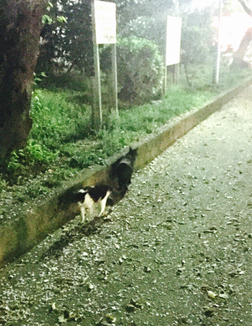 夫が優しい_d0343573_19275381.jpg