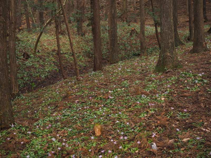 f0372177_20551810.jpg