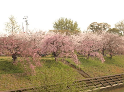 e0012580_15071871.jpg