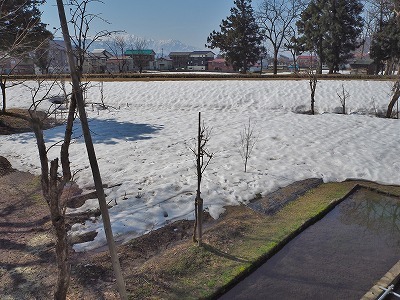 雪消えが一気に!_c0336902_20585149.jpg