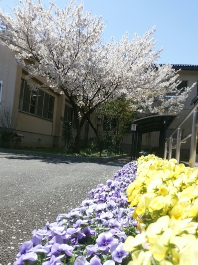 花満開!_f0255704_13182966.jpg