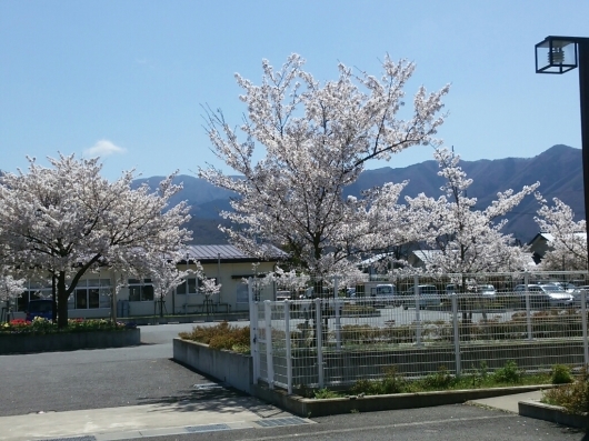 花満開!_f0255704_13183305.jpg