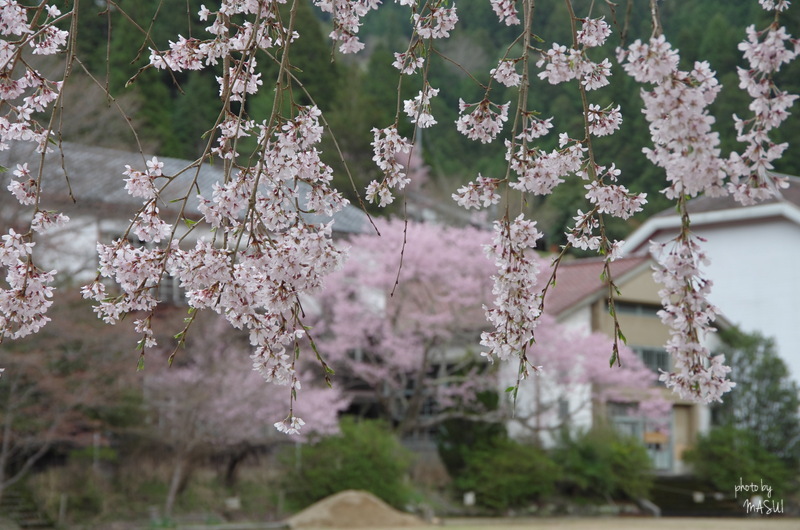 西吉野　下市町コミュニティー体育館_d0342307_00255568.jpg