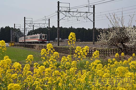d0110009_15061977.jpg