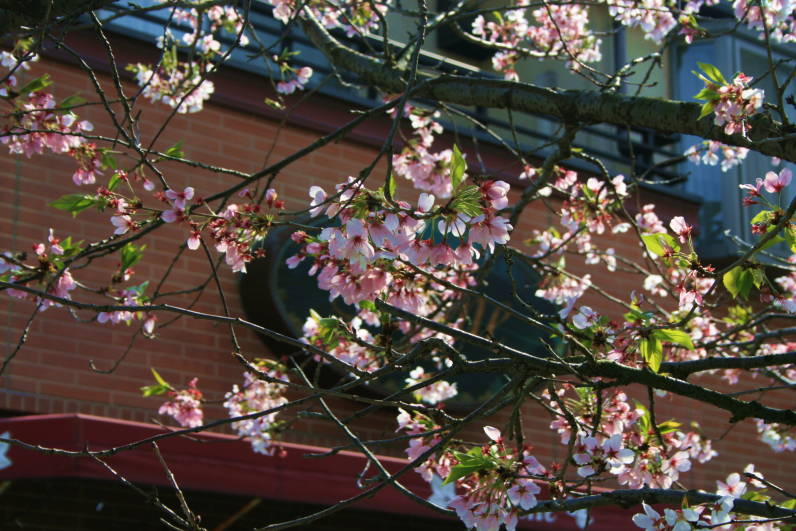 f0320020_7205140.jpg